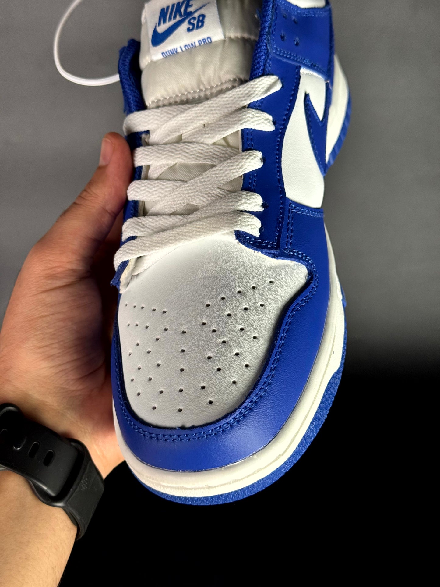 Nike SB dunk low pro blue blue