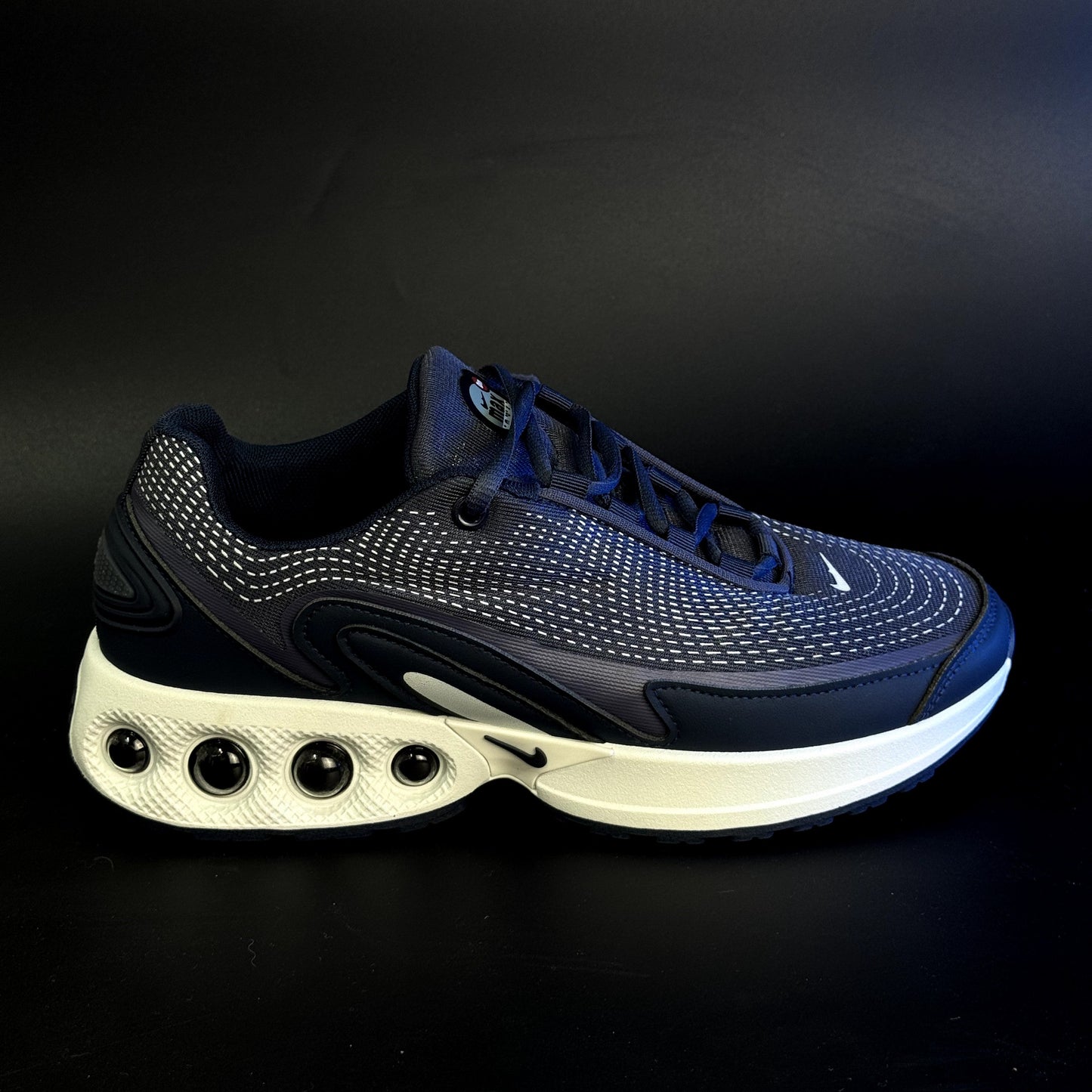 Nike air max DN Blue