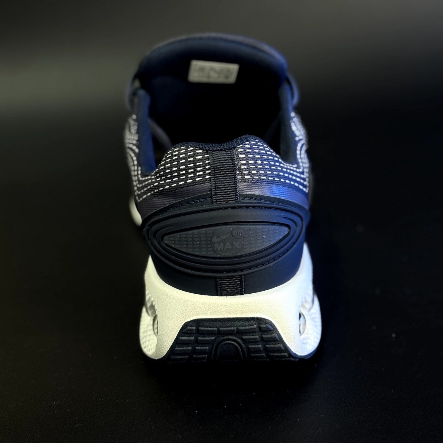 Nike air max DN Blue