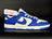Nike SB dunk low pro blue blue
