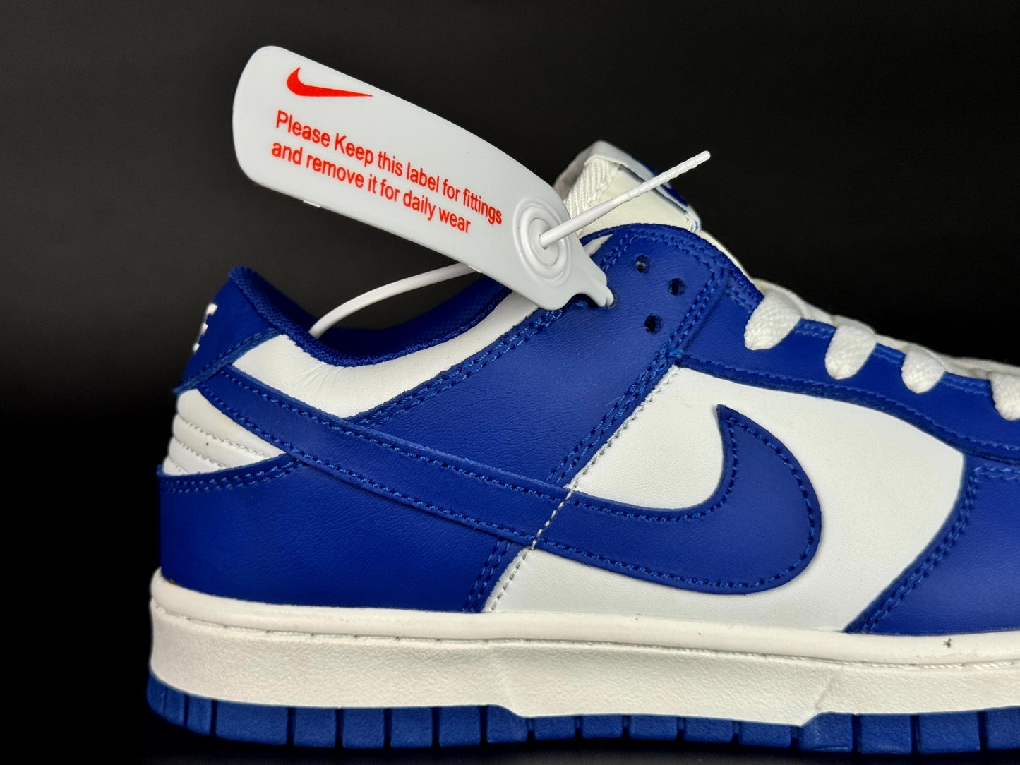 Nike SB dunk low pro blue blue