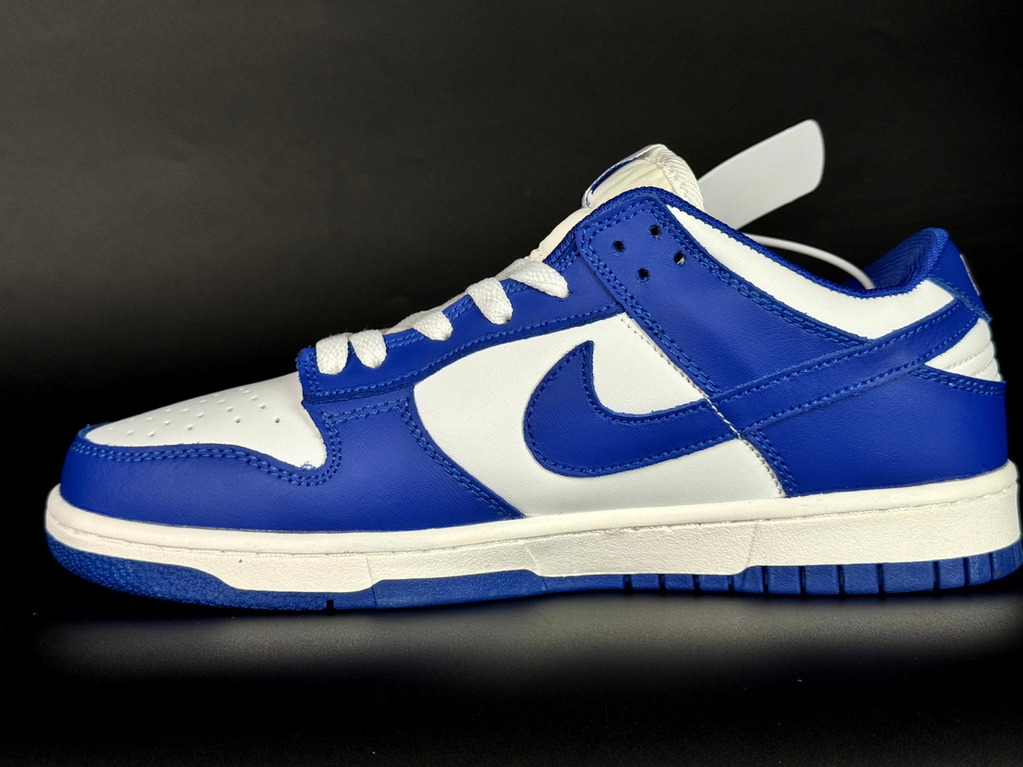 Nike SB dunk low pro blue blue
