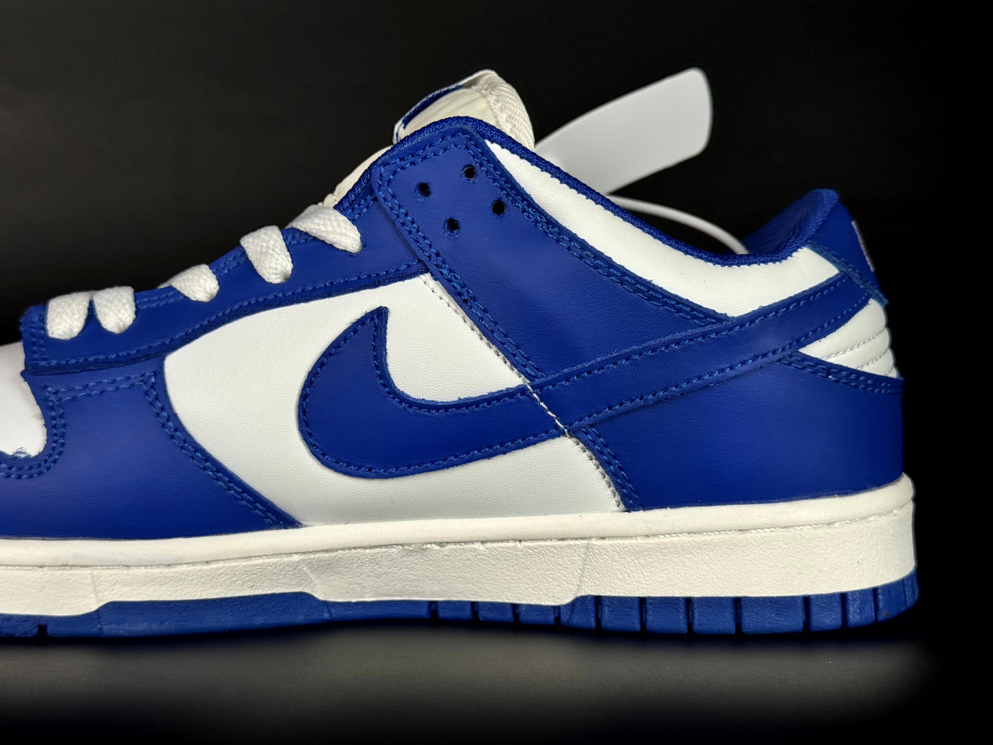 Nike SB dunk low pro blue blue