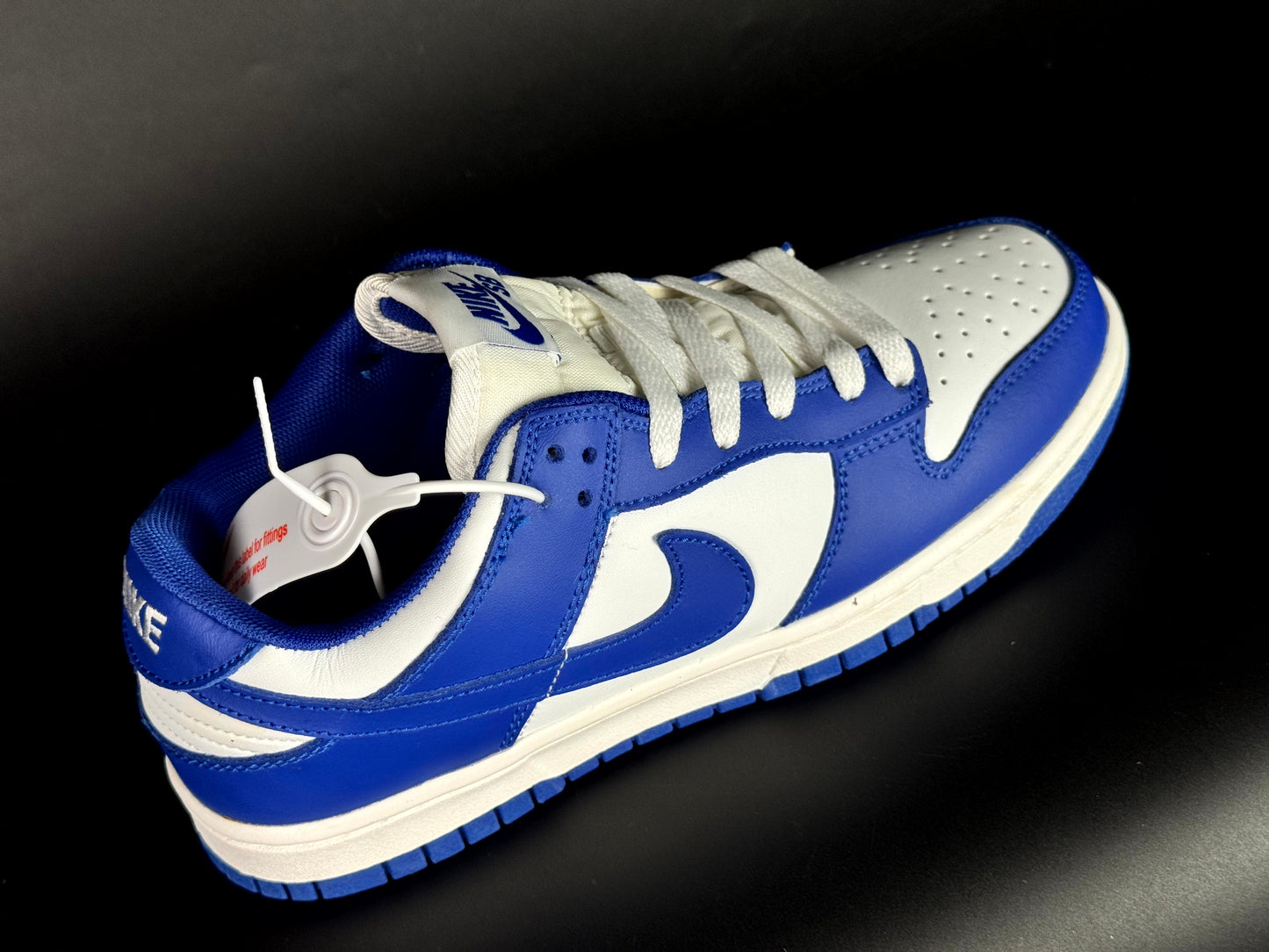 Nike SB dunk low pro blue blue
