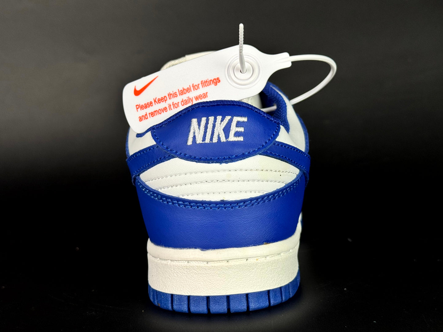 Nike SB dunk low pro blue blue