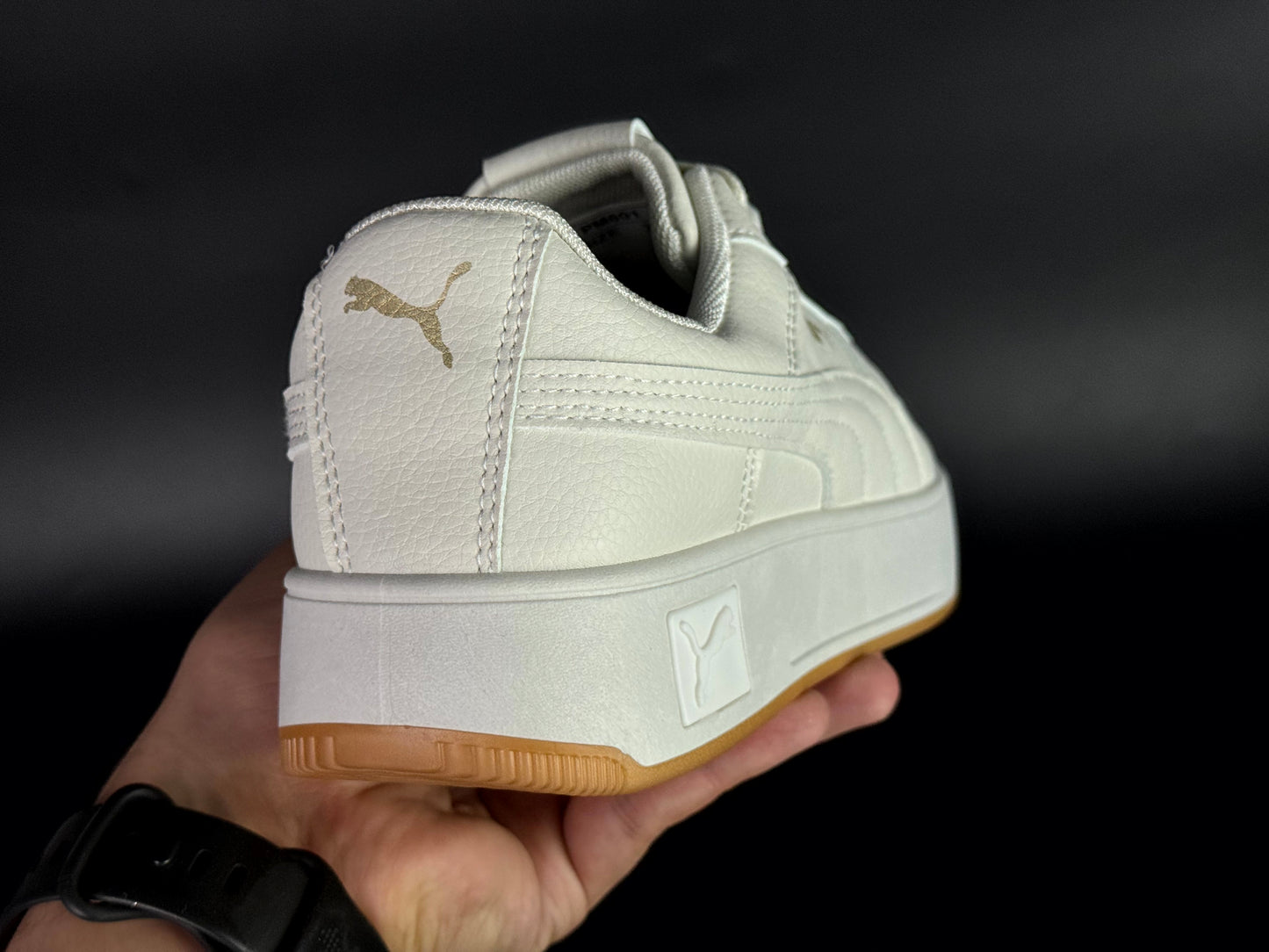 puma carina cassé