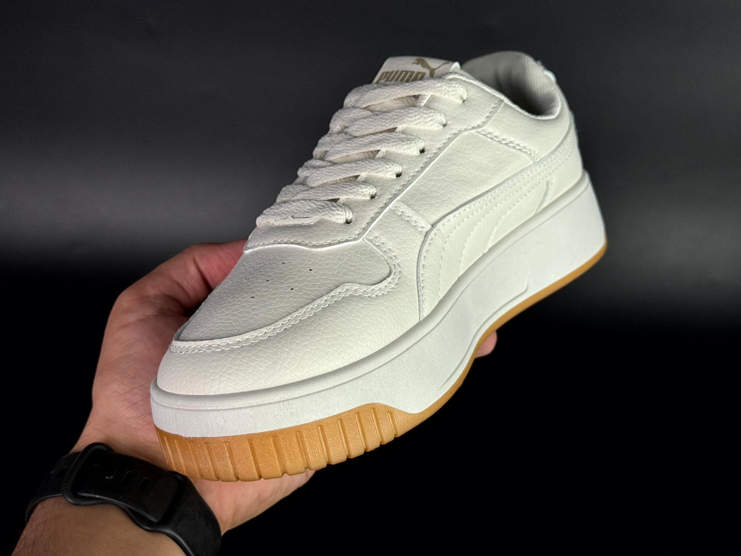 puma carina cassé