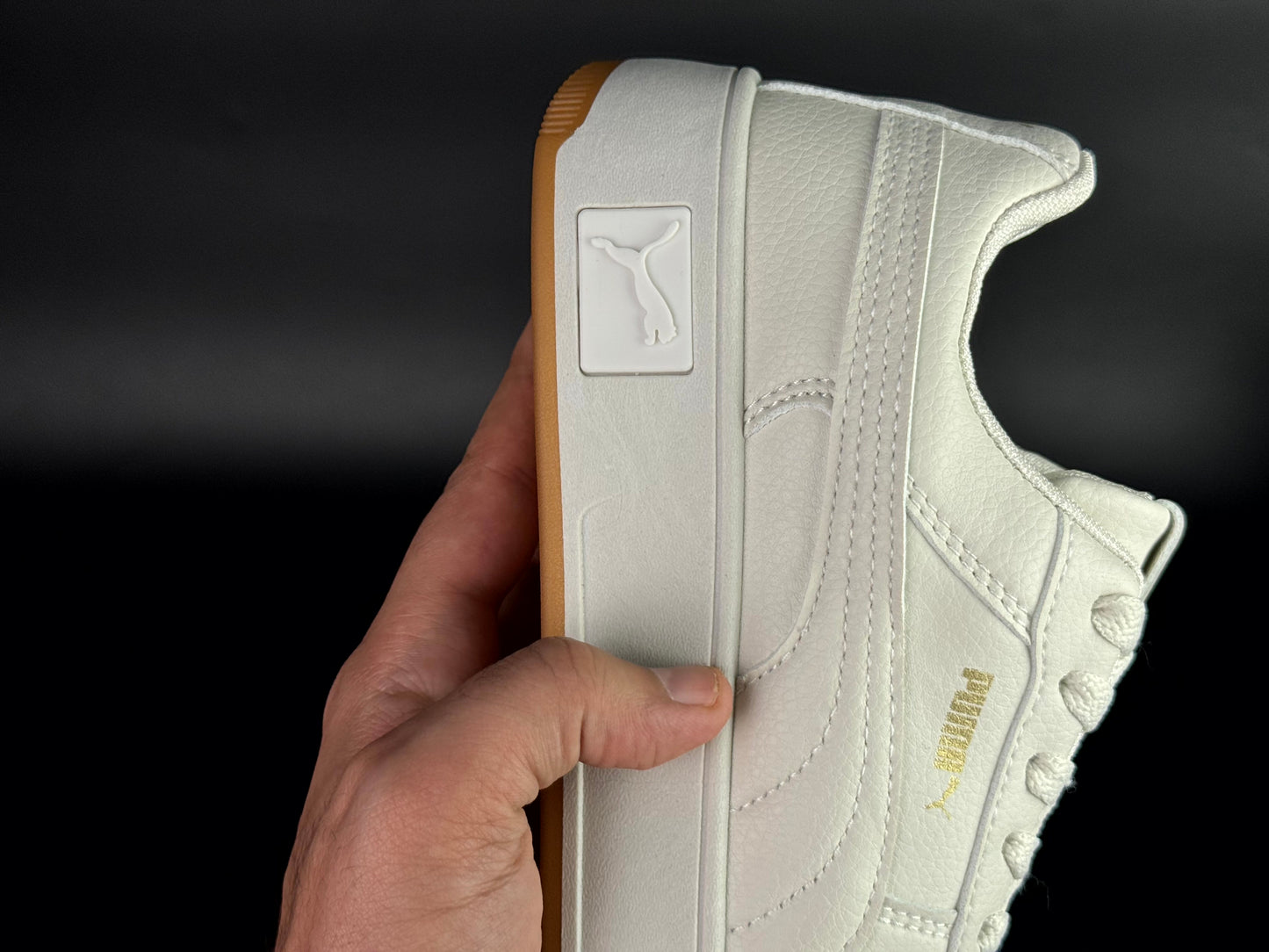 puma carina cassé