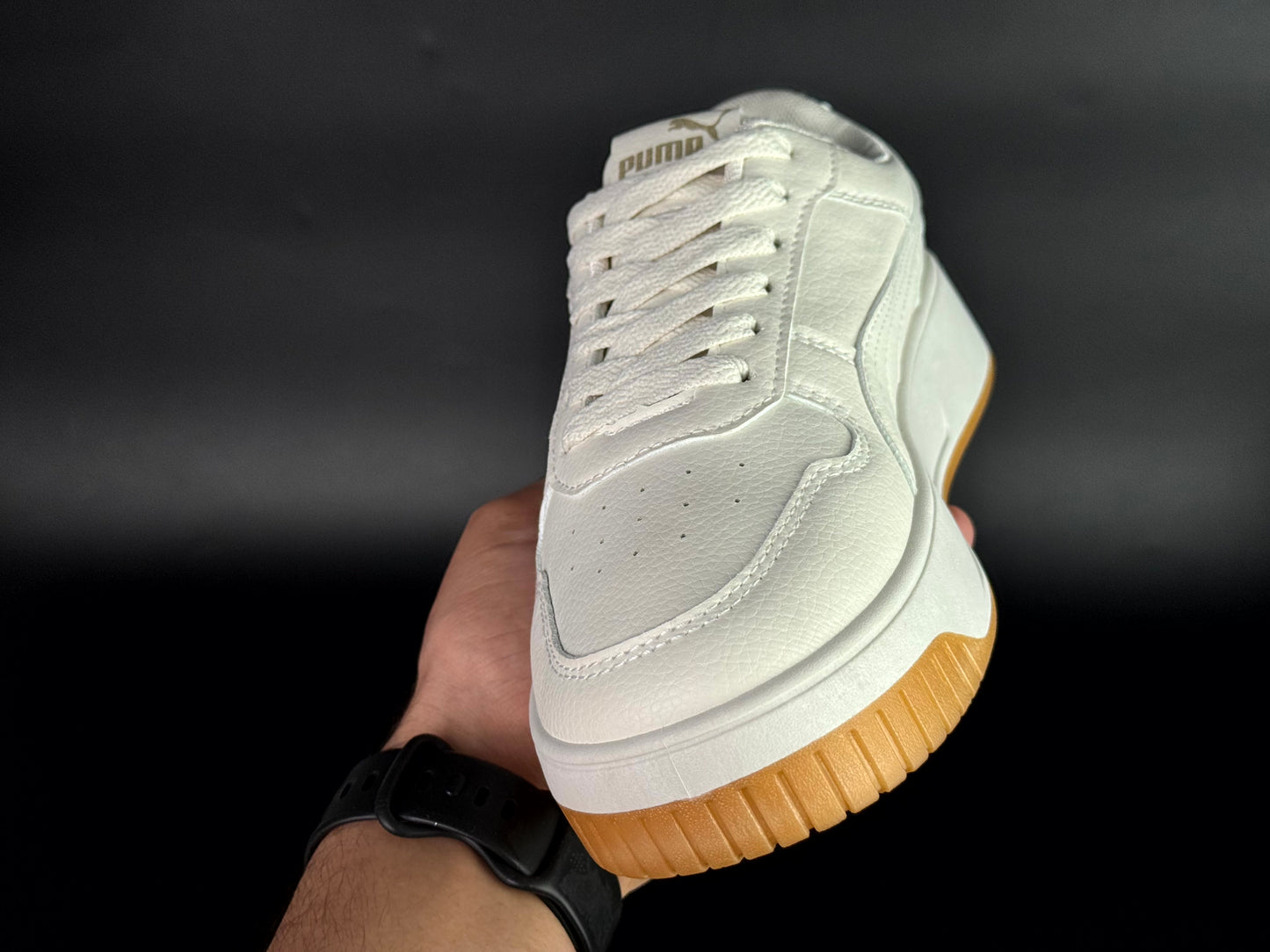 puma carina cassé